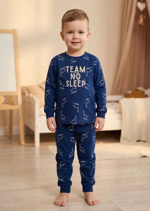 Пижама детская двойка для мальчика (р-р 2-5 лет)