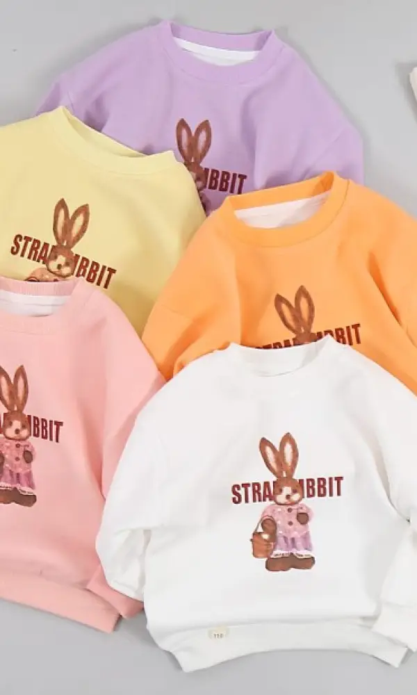 Толстовка цветная с аппликацией на девочку ( 3-7 лет)